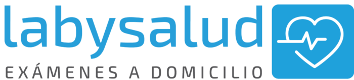 LOGO NUEVO LABYSALUD LOGO NUEVO LABYSALUD
